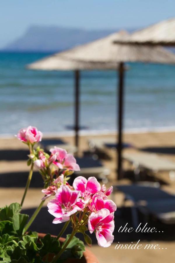 Molos Beach Rooms كيساموس المظهر الخارجي الصورة